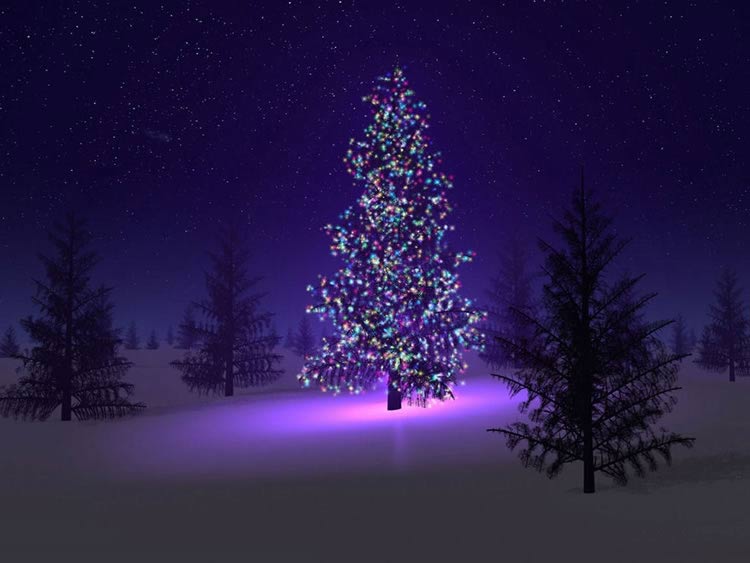Jour 15: Joyeux Noël en conscience